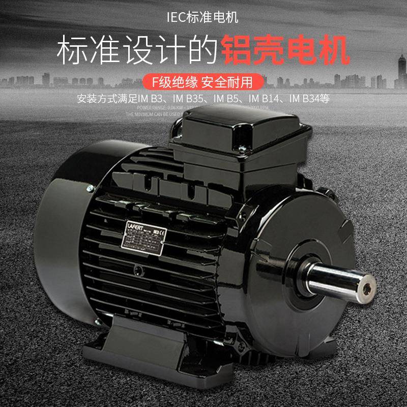 现货意大利LAFERT拉菲特三相直流刹车电动机AMBY系列0.12KW至22KW - 图1