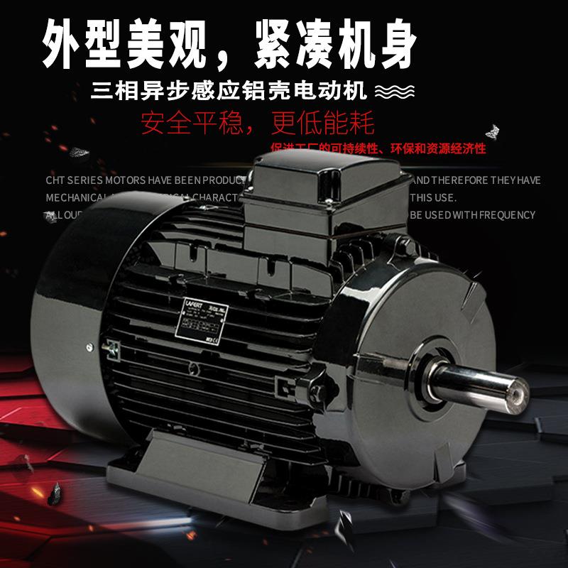 现货意大利LAFERT拉菲特三相直流刹车电动机AMBY系列0.12KW至22KW - 图2