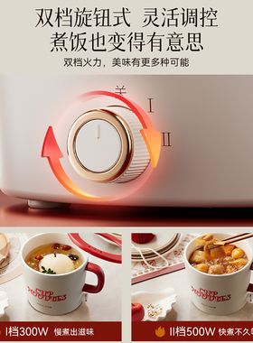 奥克斯电煮锅小型迷你火锅电蒸锅
