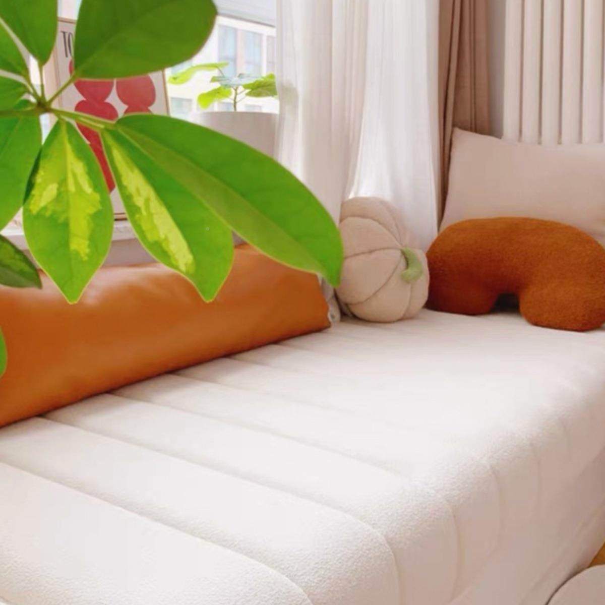 网红飘F967685J垫2025新款泰迪发绒卧室沙改造轻奢阳窗台坐垫窗台,淘宝优惠券,粉丝福利购,淘宝优惠卷