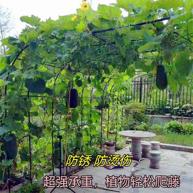 防锈拱门花架月季爬藤架葡萄架铁线莲蔷薇支架子户外庭院装饰花架,淘宝优惠券,粉丝福利购,淘宝优惠卷