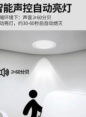 8寸感应筒灯大尺寸筒灯走廊过道人体感应筒灯4000K感应筒灯