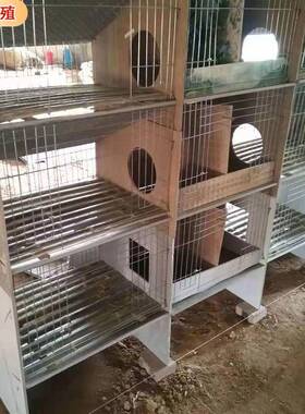 长毛兔养殖瓷砖兔笼适用型繁殖器具瓷砖子母兔笼提供安装指导