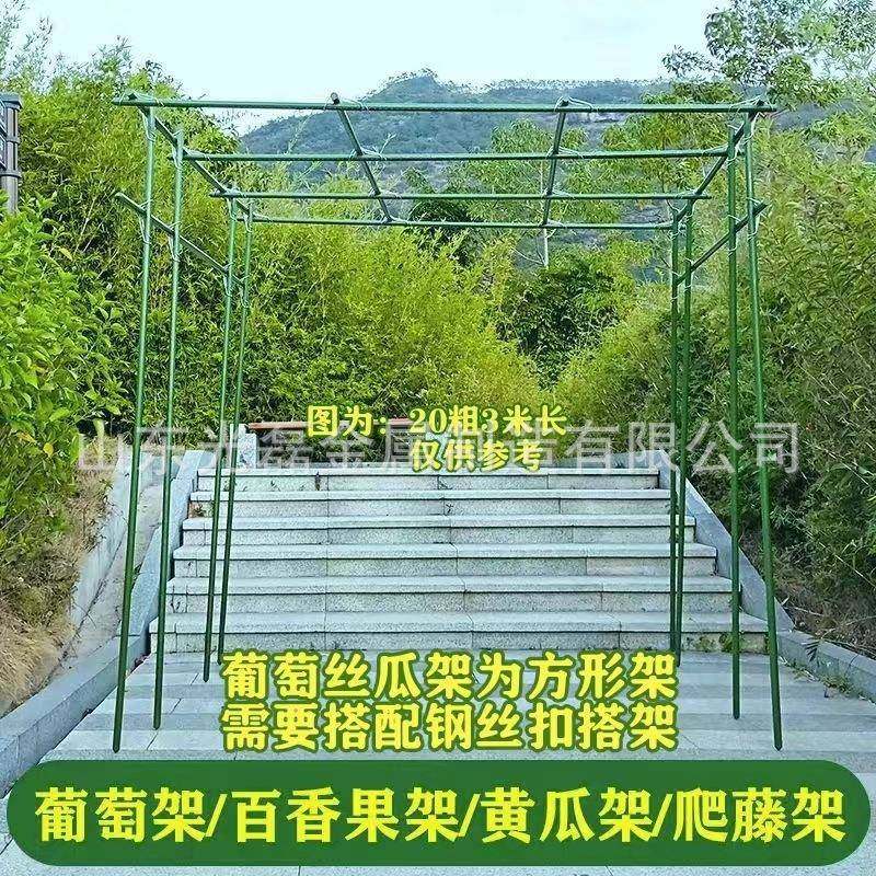 园艺爬藤架包塑钢管花支架黄瓜豆角西红柿架丝瓜葡萄架50支包邮,淘宝优惠券,粉丝福利购,淘宝优惠卷