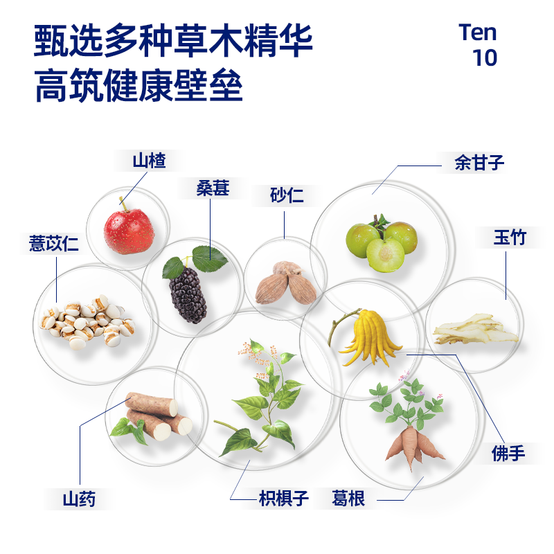 何必醉葛根枳椇子复合片压片糖果草木萃取解酉酶酒醒坊醉好物非药,淘宝优惠券,粉丝福利购,淘宝优惠卷