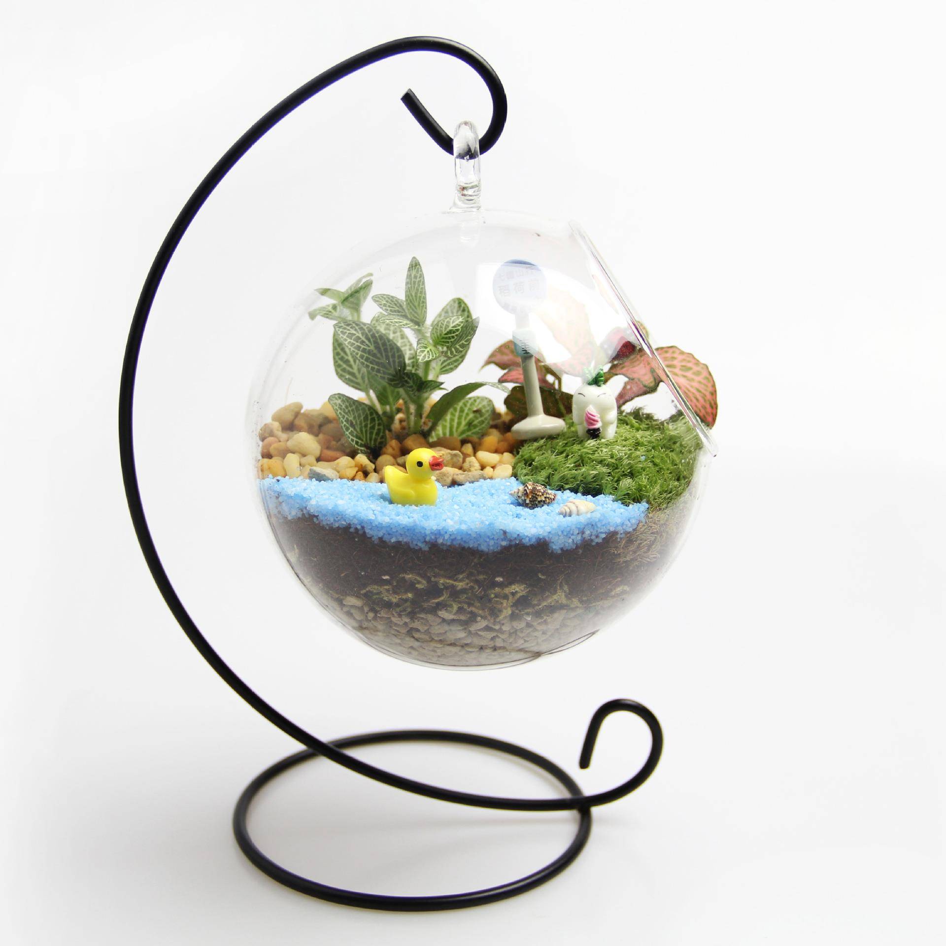 创意礼品礼藓物2苔微景观套装生tz-20181态瓶材料吊包1cm平底瓶 - 图2