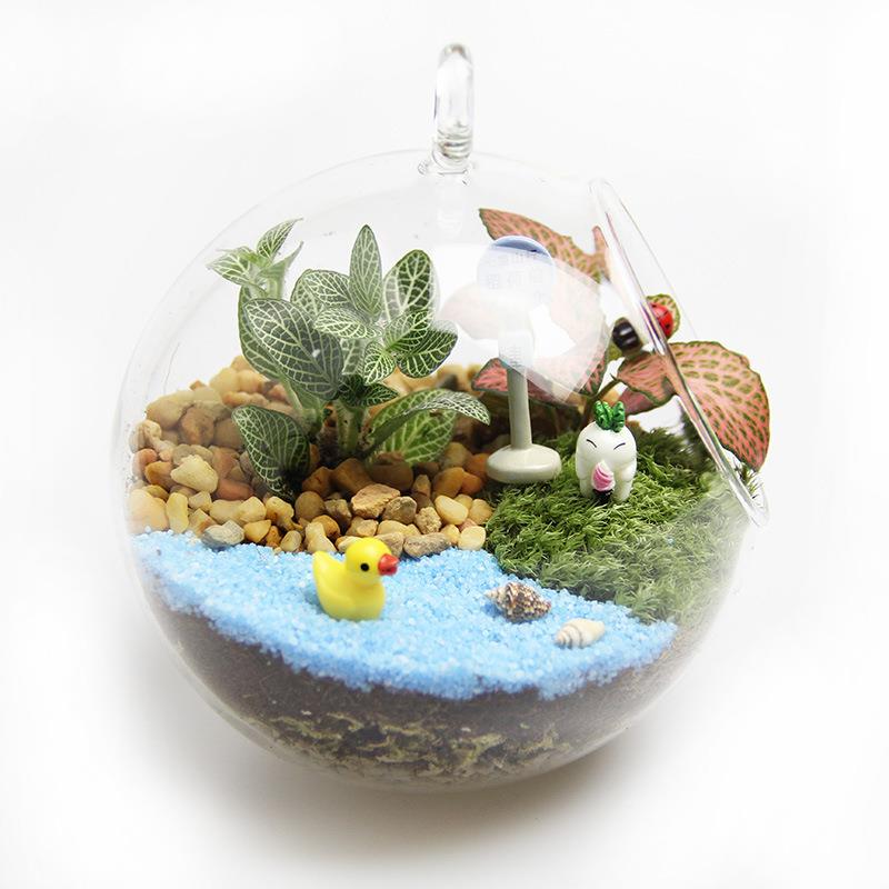 创意礼品礼藓物2苔微景观套装生tz-20181态瓶材料吊包1cm平底瓶 - 图3