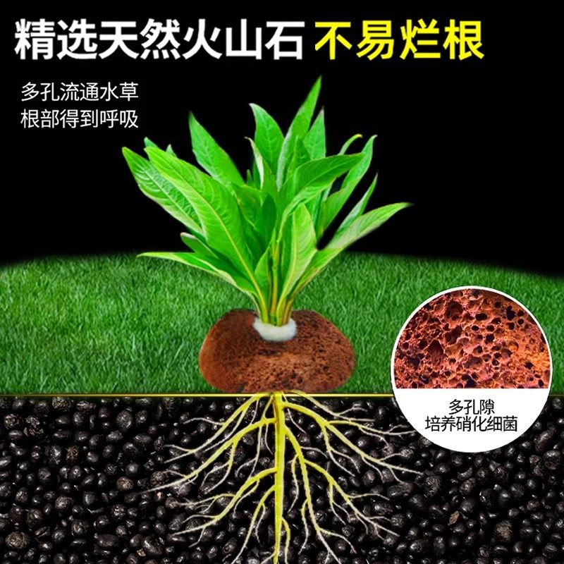 鱼缸真水草鱼缸造景套餐净化水质懒人鱼缸水草植物直接入缸蜈蚣草,淘宝优惠券,粉丝福利购,淘宝优惠卷