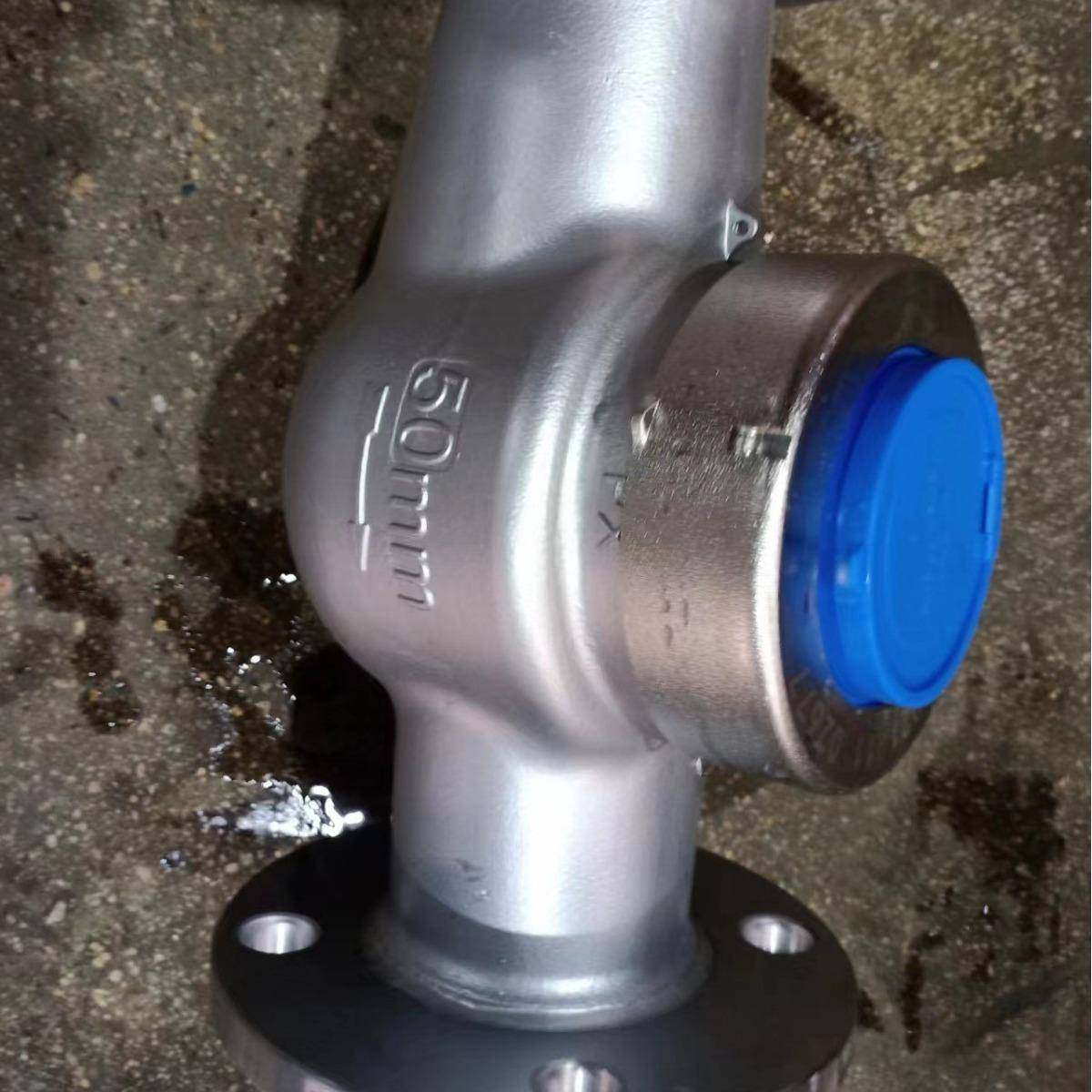 304不锈钢水表工程专用防腐水表旋翼螺纹螺翼可拆式冷热式水表,淘宝优惠券,粉丝福利购,淘宝优惠卷