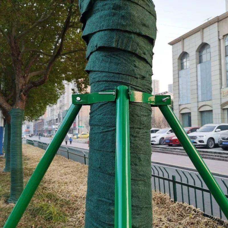 钢管树木支撑无品牌/杆支支架镀锌大树固定器撑苗木防风园架绿化,淘宝优惠券,粉丝福利购,淘宝优惠卷