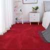 Thick carpet for girls, bedroom bedside, children's room, living room coffee table, balcony bay window and door floor mat