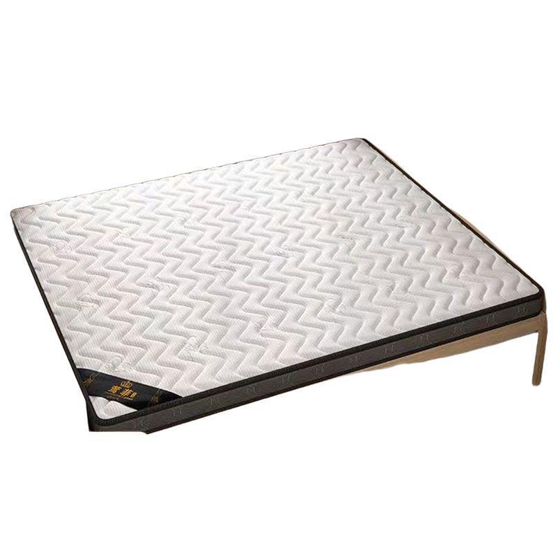 榻榻米床椰尺用寸乳胶天然棕UNR塌塌米垫子软垫垫家用卧室专床垫 - 图3