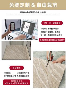 入户门地垫耐脏防滑进门口垫免洗可擦玄关家用客厅地毯感门垫