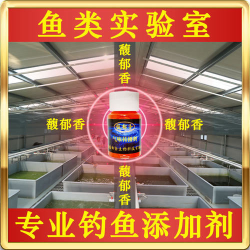 气味传播剂多巴盐鱼安素金版圆梦实锤小药穿云鲫多青环修罗剑小药 - 图0