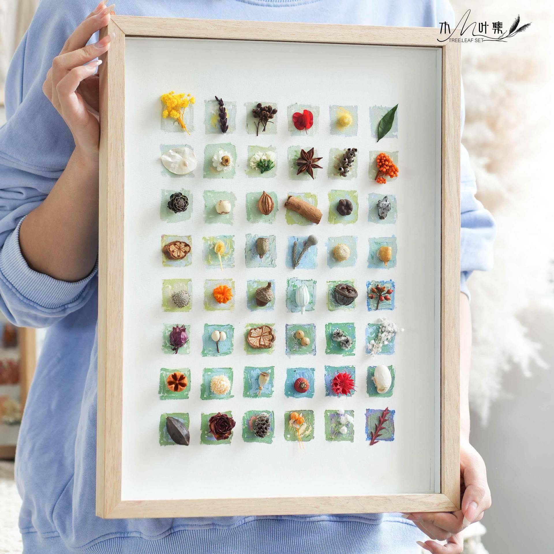 干花干家果押相花框手工组简合居IFB植物装饰画法式轻奢约,淘宝优惠券,粉丝福利购,淘宝优惠卷