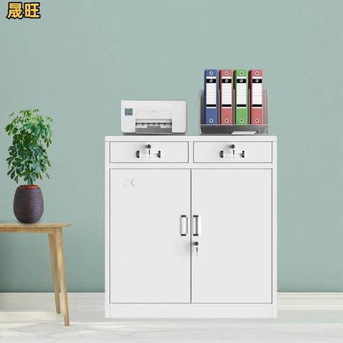 铁玻璃对开矮柜资料档案存放收纳柜书柜柜带锁密码储物柜防火防盗 - 图0