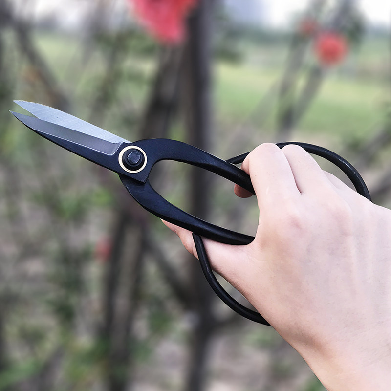 花剪家用花艺鲜花插花专用日式修剪花卉花枝园艺盆景剪刀小枝切铗,淘宝优惠券,粉丝福利购,淘宝优惠卷