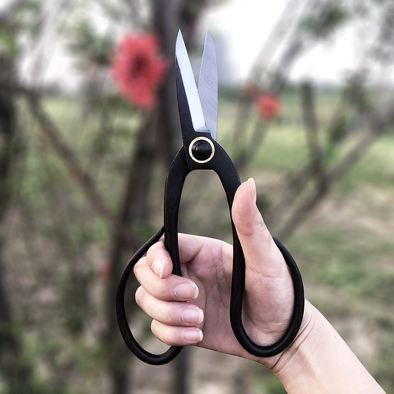 花剪家用花艺鲜花插花专用日式修剪花卉花枝园艺盆景剪刀小枝切铗,淘宝优惠券,粉丝福利购,淘宝优惠卷