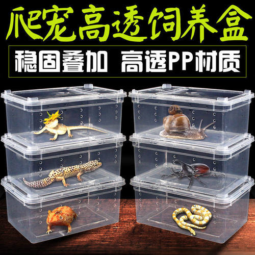 爬宠箱爬虫饲养躲避大盒蜘蛛守宫角蛙甲虫蚕蛇乌龟透明宠物箱养殖 - 图0