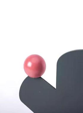 现代EAX楼约样板装间绯牡丹仙人掌摆件售处ins风幼儿园饰简柜软装