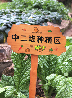 实木园艺花草插地牌户外菜园菜地标识牌木质幼儿园种植区提示牌