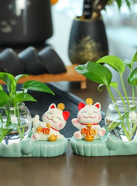 招财猫水培治愈系创意可爱客厅玄关家居办公室工位桌面装饰品摆件