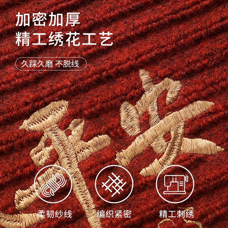 地垫入户门垫2024新款进门门口脚垫家用玄关进户门外防滑红色地毯 - 图0