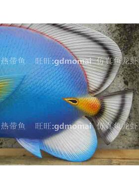 仿真热带立鱼模蓝MOY色款50c型m道体/半边鱼餐厅店铺装饰拍摄具摆