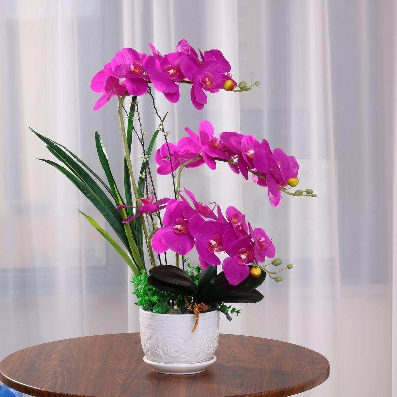 查看详情蝴蝶兰真花假花客仿品厅摆件家居装饰餐桌电柜视室内摆放,淘宝优惠券,粉丝福利购,淘宝优惠卷