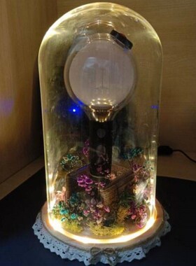 应援棒展示盒防尘收纳摆件积木纪念品透明模型装饰盒子干燥花玻璃