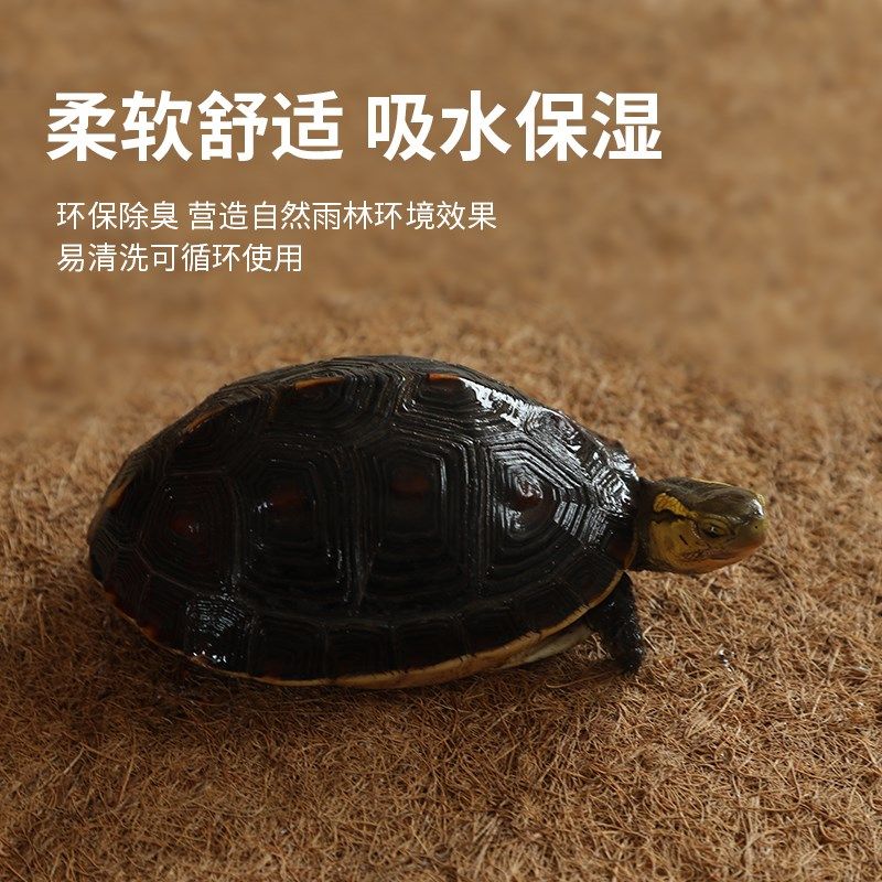 天然椰棕垫爬宠宠物垫材棕榈垫蜥蜴乌龟饲养箱爬虫保湿无尘棕垫子,淘宝优惠券,粉丝福利购,淘宝优惠卷