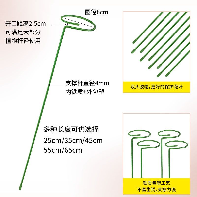 蝴蝶兰铁艺花架绣球吊兰支撑杆园艺固定架爬藤花卉植物防倒伏支架,淘宝优惠券,粉丝福利购,淘宝优惠卷