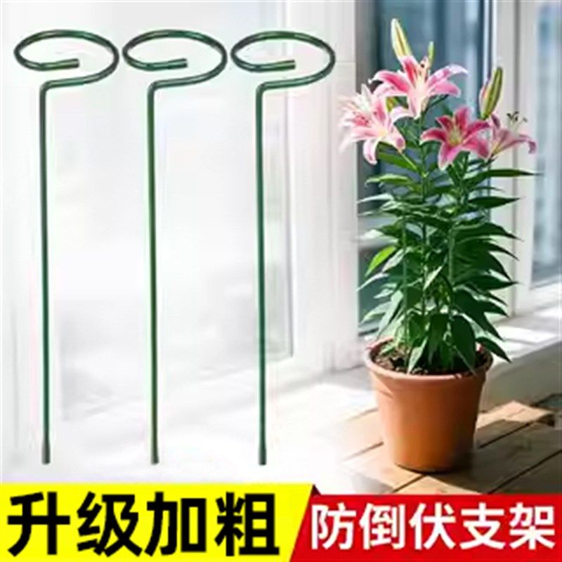 蝴蝶兰铁艺花架绣球吊兰支撑杆园艺固定架爬藤花卉植物防倒伏支架,淘宝优惠券,粉丝福利购,淘宝优惠卷