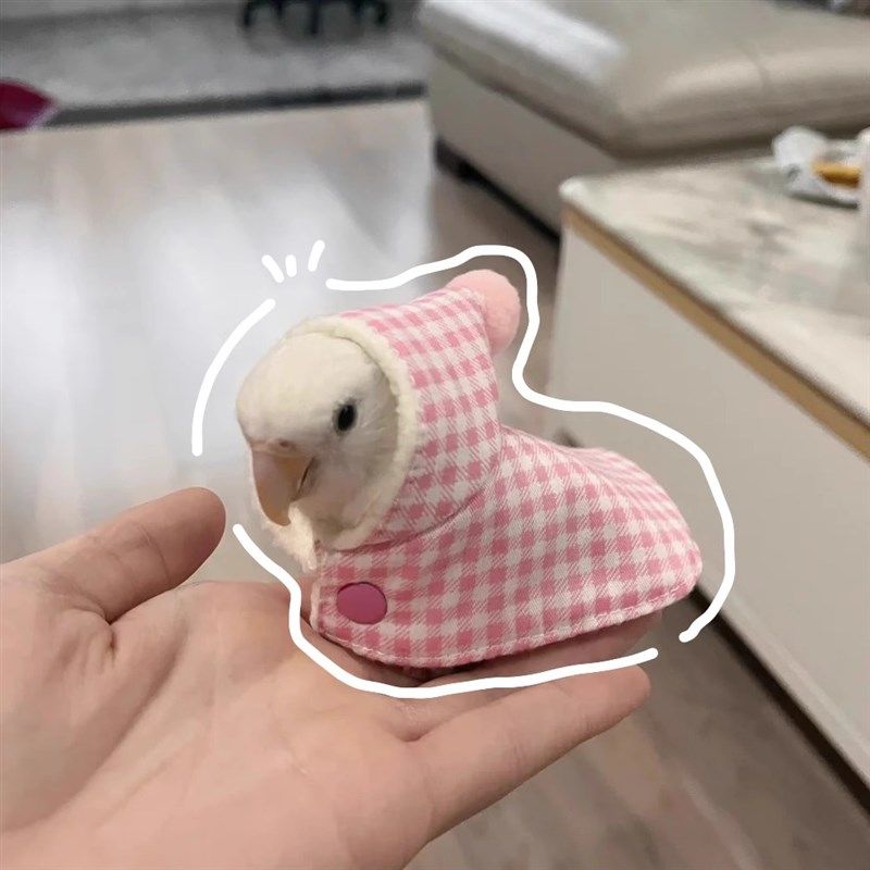 鹦鹉专用过冬衣服斗篷披风鸟衣服玄凤加厚保暖外出服用品冬鸟用品,淘宝优惠券,粉丝福利购,淘宝优惠卷