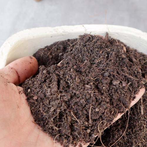 黑土型泥炭种土种花多肉有机种XL039菜大包土植土通草炭土用营养 - 图0