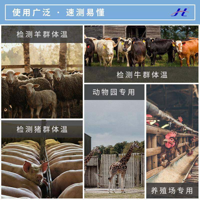 用体温计UIT红外线测温仪动8物测温兽表动物用专DT-838,淘宝优惠券,粉丝福利购,淘宝优惠卷