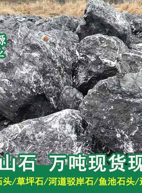 黑山山石景石水系泊岸假山石头鱼黑山石景池造石景石头野石园石草