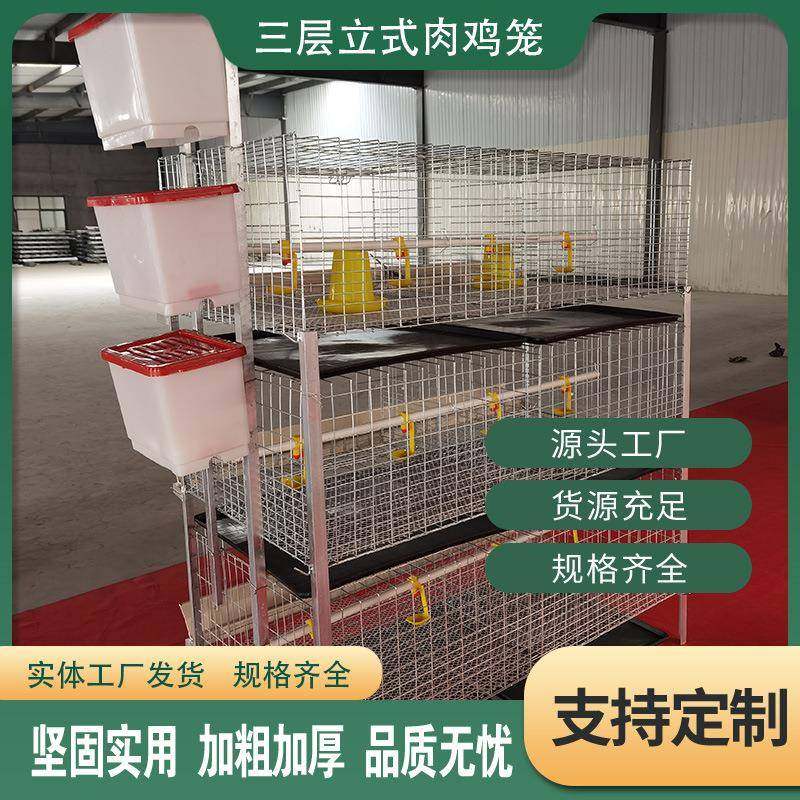 蛋鸡小鸡笼机械育雏四层立体式左右拉门加密镀锌丝水箱鸡舍养殖笼,淘宝优惠券,粉丝福利购,淘宝优惠卷