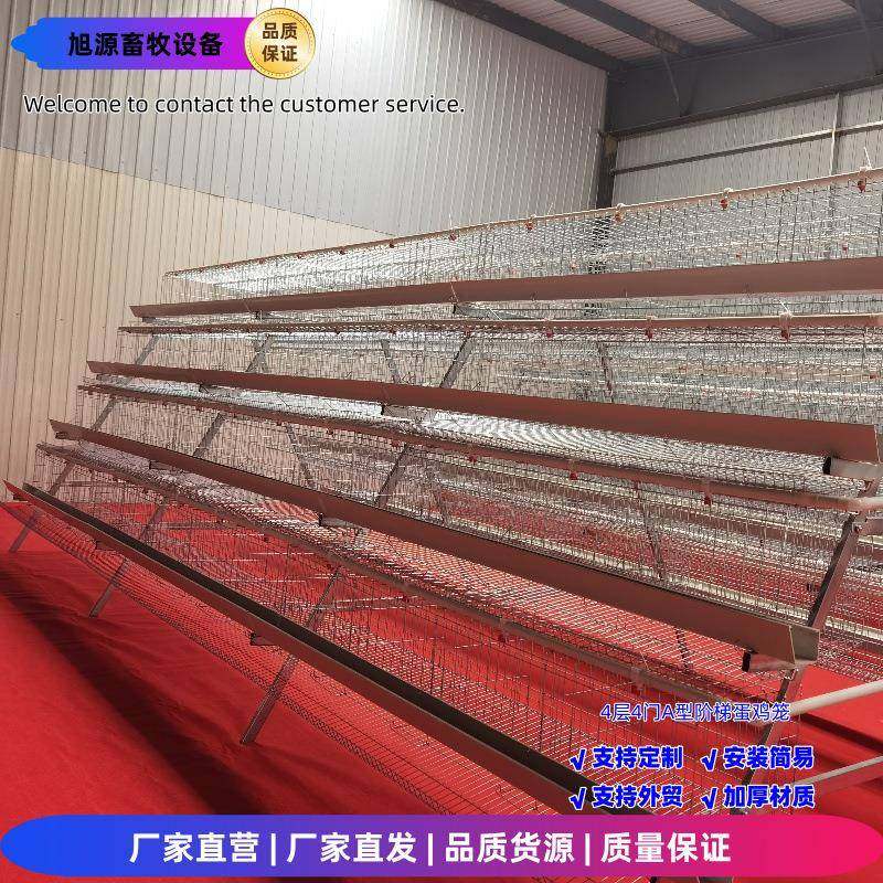 4层4门蛋鸡笼阶梯笼A型笼冷镀/热镀锌工艺养鸡笼,淘宝优惠券,粉丝福利购,淘宝优惠卷