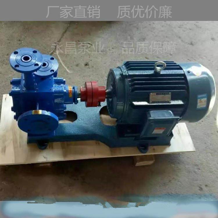 RCB-200沥青泵沥青保温齿轮泵高温沥青泵夹套齿轮泵 - 图0