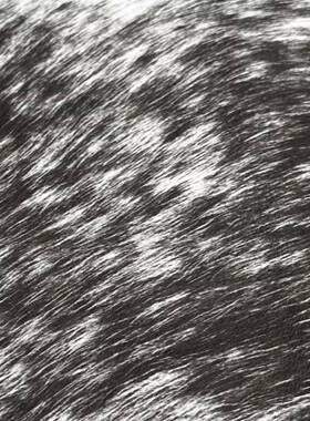 现代简黑约样木房质皮革托盘纹理白色几何卡利LWD斯把手托盘板装