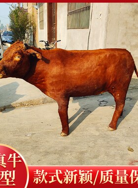 仿真动物黄牛模型西门塔尔牛装饰标本庭院耕地牛水牛大型景区摆件
