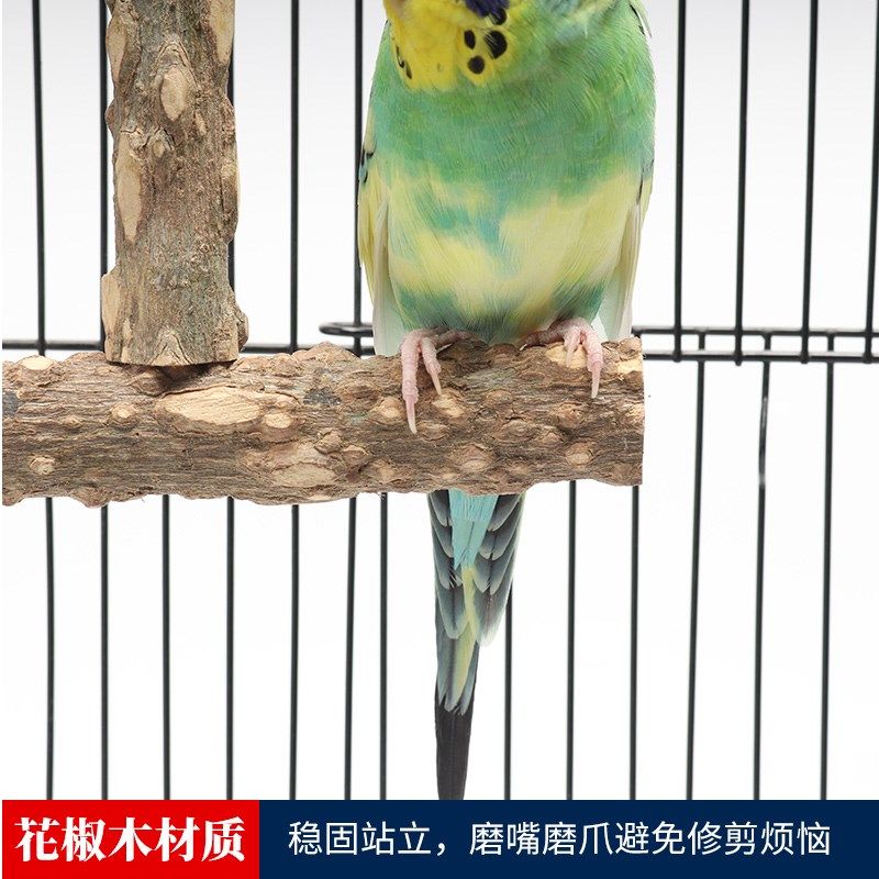 虎皮鹦鹉花椒木站杆牡丹玄凤鸟站杆磨爪磨嘴站架鸟栖息花椒木站架,淘宝优惠券,粉丝福利购,淘宝优惠卷