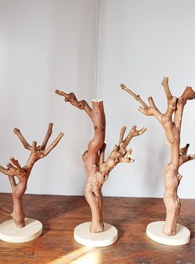 原木树杈带底托摆件 书架客厅茶几装饰 手工天然把玩手串实木支架