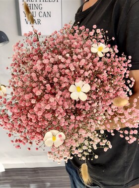满天星干花花束家居摆设小清新拍摄道具橱窗装饰鲜花永生真花送人