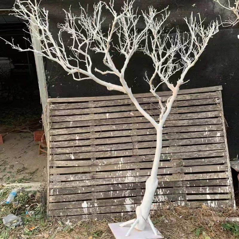 白色干树枝造景干枝树干许愿树枯树室内造型树枝干原木树枝装饰树 - 图0