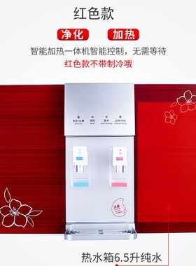 铭芯源净水器家用直饮加热一体机厨房自来水过滤饮水机壁挂纯水机
