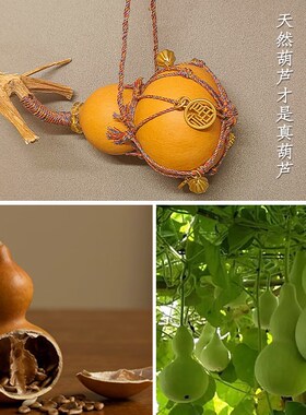 网兜葫芦带龙头天然葫芦汽车挂件创意手捻盘玩文玩小葫芦挂饰包挂