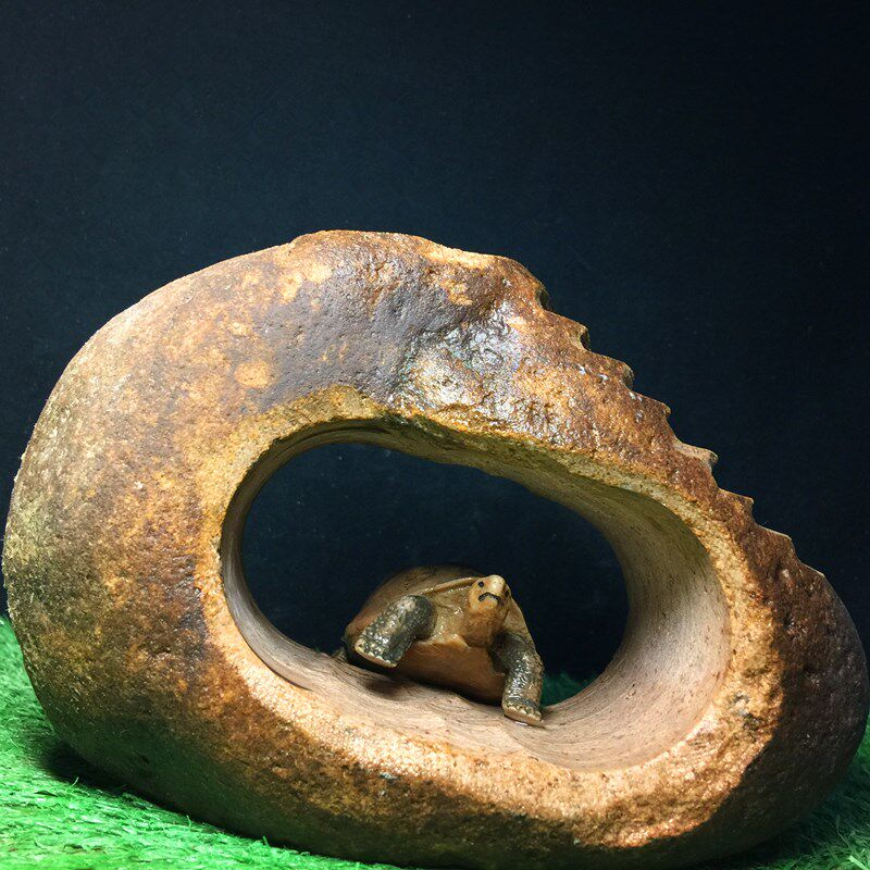 乌龟阶梯斜坡晒台爬台 石头桥洞躲避攀爬架 鱼虾蟹守宫两栖嬉戏岛,淘宝优惠券,粉丝福利购,淘宝优惠卷