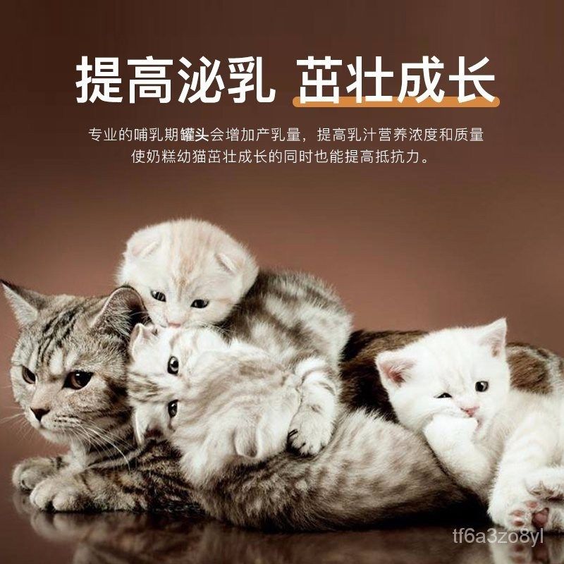 猫妈妈产后罐头哺乳期猫咪月子餐母猫下奶营养品怀孕猫粮孕猫食物,淘宝优惠券,粉丝福利购,淘宝优惠卷